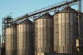 A few large industrial iron cylindrical construction elevators standing one after another, for agricultural storage