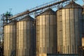 A few large industrial iron cylindrical construction elevators standing one after another, for agricultural storage Royalty Free Stock Photo