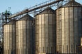 A few large industrial iron cylindrical construction elevators standing one after another, for agricultural storage