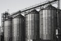 A few large industrial iron cylindrical construction elevators standing one after another, for agricultural storage Royalty Free Stock Photo