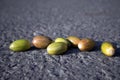 Few multicolored unripe acorns lying on the gray dry asphalt