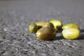 Few multicolored unripe acorns lying on the gray dry asphalt