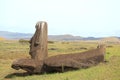 Few of numerous unfinished huge Moai statues at the foothill of Rano Raraku volcano, Easter Island of Chile