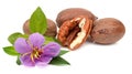Few pecan nuts, one cracked. Royalty Free Stock Photo