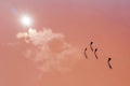 A few people stand on the pink surface of a salt lake. Clouds and sun are reflected on the surface of the lake. Under the feet of