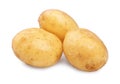 A few raw, organic and fresh young potatoes, isolated on a white background. Three clean and hard light brown potatoes. Royalty Free Stock Photo