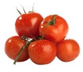 Few red fresh wet tomatoes Royalty Free Stock Photo