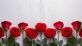 Few red roses border a beautiful white background elegantly Royalty Free Stock Photo