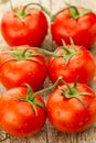 Few red tomatoes branch Royalty Free Stock Photo