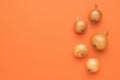 A few ripe bulbs on an orange background. Autumn harvest. Flat lay