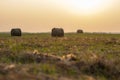 A few round bales of yellow hay in a field at sunset. Harvesting hay for the household Royalty Free Stock Photo