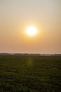 A few round bales of yellow hay in a field at sunset. Harvesting hay for the household Royalty Free Stock Photo