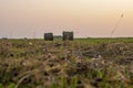 A few round bales of yellow hay in a field at sunset. Harvesting hay for the household Royalty Free Stock Photo