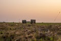 A few round bales of yellow hay in a field at sunset. Harvesting hay for the household Royalty Free Stock Photo