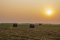 A few round bales of yellow hay in a field at sunset. Harvesting hay for the household Royalty Free Stock Photo