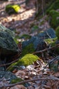 Few small and giant rock formations next to mountain trail at sunny day