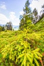 A few summer hiking impressions from the famous Hoch-Ybrig region in the Swiss Alps