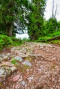 A few summer hiking impressions from the famous Hoch-Ybrig region in the Swiss Alps