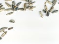 Few of the sunflower seeds placed on the top of the image on a white background making a random frame with empty space under Royalty Free Stock Photo