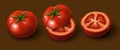 A few tomatoes. Whole tomato, sliced tomato and half a tomato. Highly realistic illustration