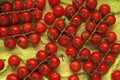 A few trusses of red wet cherry tomatoes on a green gauze background. Top view Royalty Free Stock Photo