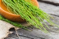 few twigs Equisetum arvense, field horsetail or common horsetail on wooden plate Royalty Free Stock Photo