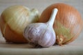 Garlic and bulbs on a light background