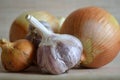 Garlic and bulbs on a light background