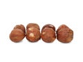 A few kernel hazelnuts in the shell are laid out exactly in a couple of rows. Isolated on white.