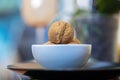 A few whole walnuts in round-shaped brown shell lie in a small white plate on black plate on blue cold blurred bokeh backgroun Royalty Free Stock Photo