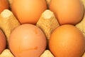 Few yellow eggs in a tray close up Royalty Free Stock Photo