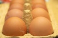 Few yellow eggs in a tray close up Royalty Free Stock Photo