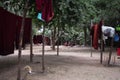 A few young monks sits in  forest clearence behing some buddhist robe laundry Royalty Free Stock Photo