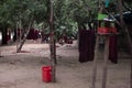 A few young monks sits in  forest clearence behing some buddhist robe laundry Royalty Free Stock Photo