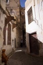 Fez building in morocco Royalty Free Stock Photo