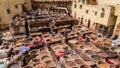 Leather dying in a traditional tannery in Fez, Morocco Royalty Free Stock Photo