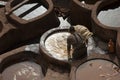 FEZ, MOROCCO - FEBRUARY 20, 2017: Man working within the paint holes at the famous Chouara Tannery in the medina of Fez. Royalty Free Stock Photo