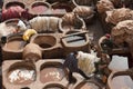 FEZ, MOROCCO - FEBRUARY 20, 2017: Men working within the paint holes at the famous Chouara Tannery in the medina of Fez. Royalty Free Stock Photo