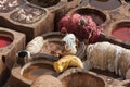 FEZ, MOROCCO - FEBRUARY 20, 2017: Men working within the paint holes at the famous Chouara Tannery in the medina of Fez. Royalty Free Stock Photo