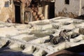 Fez, Morocco - January 01, 2010: Workers are dyeing and tanning leather at the tannery in Fez using the traditional