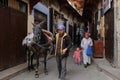 Fez, Morocco - man pulls a domestic mule through narrow street in Fes el Bali souk (market).