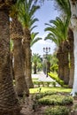 Garden of the royal palace of Fez, Morocco Royalty Free Stock Photo