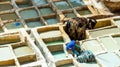 Fez, Morocco - November 12, 2019: Dye reservoirs and vats in traditional tannery of city Royalty Free Stock Photo