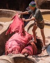 Leather dying in a traditional tannery in Fez, Morocco Royalty Free Stock Photo