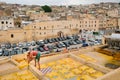 Fez, Morocco - worker places animal hides on a roof to dry under the sun at Chouara Tannery in Fes el Bali.