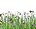 FFlower seamless border on white background. Royalty Free Stock Photo