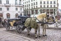 Fiaker Carriage in Vienna