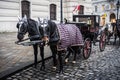 Fiaker Hackney Carriage in Vienna, Austria Royalty Free Stock Photo