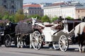 Fiaker, horsedrawn of Vienna Royalty Free Stock Photo