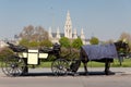 Fiaker, horsedrawn of Vienna